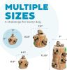 Hide A Squirrel Plush Dog Toy Puzzle