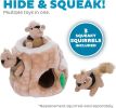 Hide A Squirrel Plush Dog Toy Puzzle