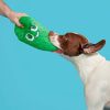 Big Dill Bill Pickle Dog Toy - Green
